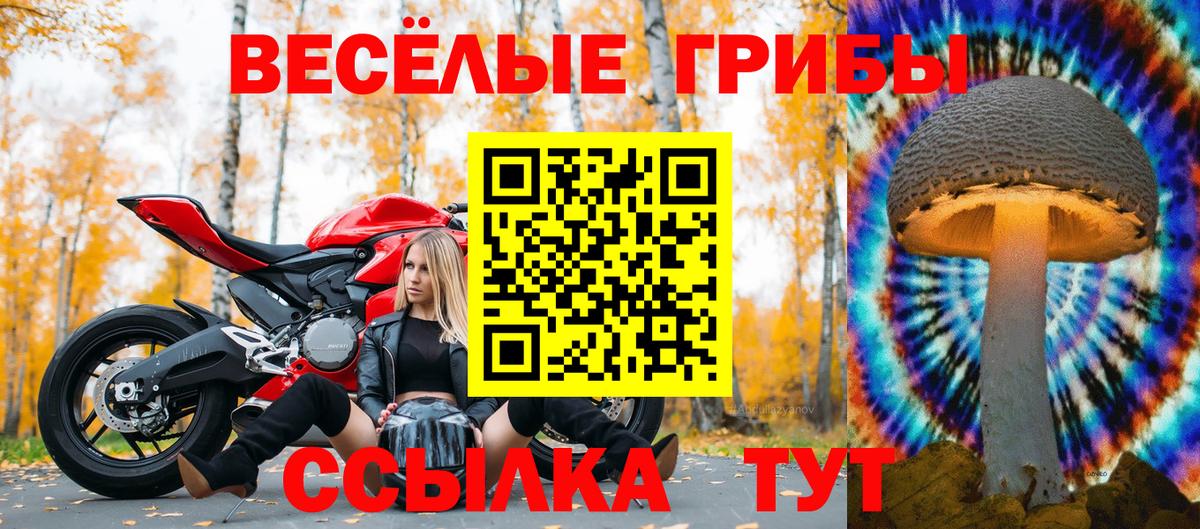 Галлюциногенные грибы GOLDEN TEACHER  Вход с VPN  Славгород 